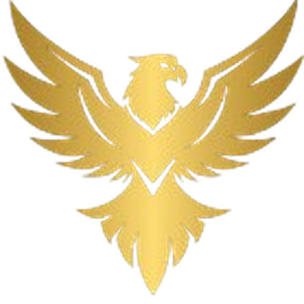 Nexus Acq Logo